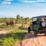 wildlife safaris in Africa