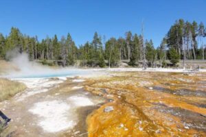 Best Time to Visit Yellowstone National Park: A Season-by-Season Guide