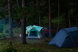 The Best Campgrounds for Beginners Across the USA